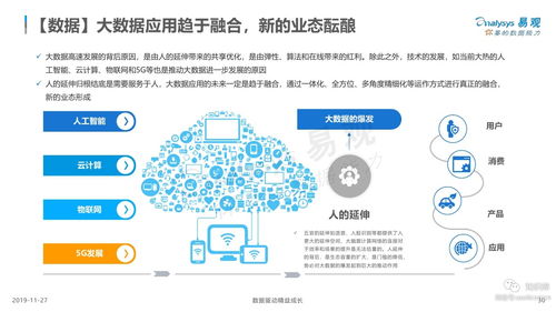 易观 2019中国大数据应用市场专题分析 useit 知识库